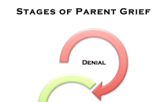 Stages of Parent Grief