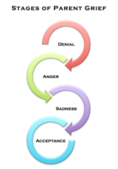 Stages of Parent Grief